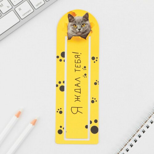 Стакан бумажный Паутинка 250 мл 10шт 373₽