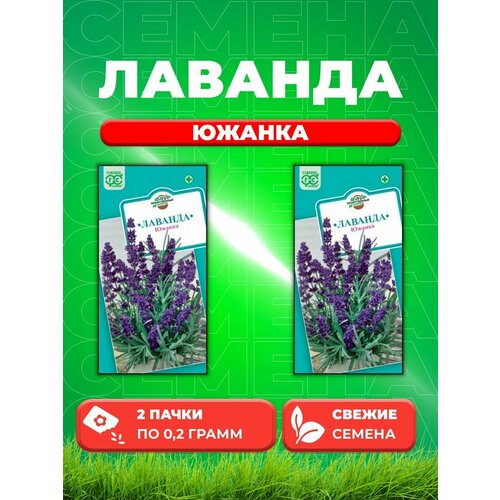 Лаванда узколистная Южанка 0,2 г.(2уп) семена гавриш лекарственная серия лаванда узколистная южанка 0 2 г