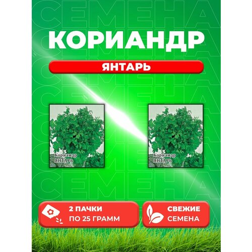 Кориандр Янтарь 25,0 г (2уп)