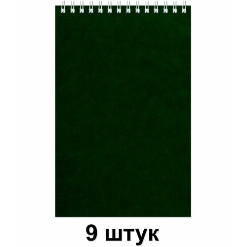 Альт Блокнот на спирали Зеленый А5 60 л 9 шт 1202₽