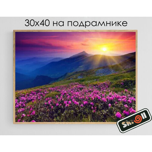 Алмазная мозаика на подрамнике Вышивка Живопись Картина стразами 30х40 см, 