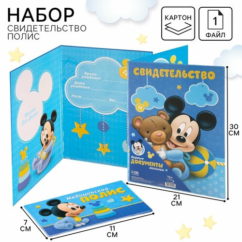 Комплект для личных документов Disney голубой 312₽
