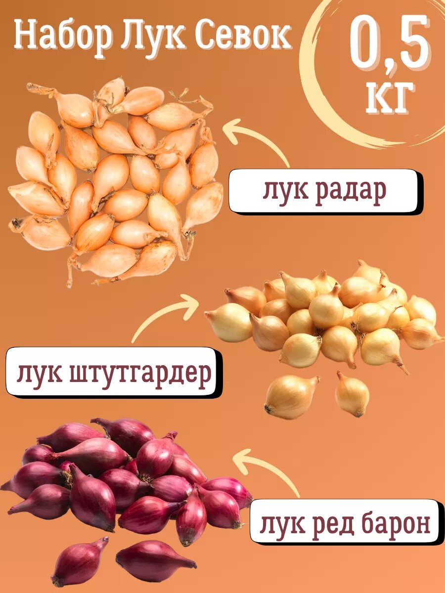 Набор Лук Севок 0.5 кг