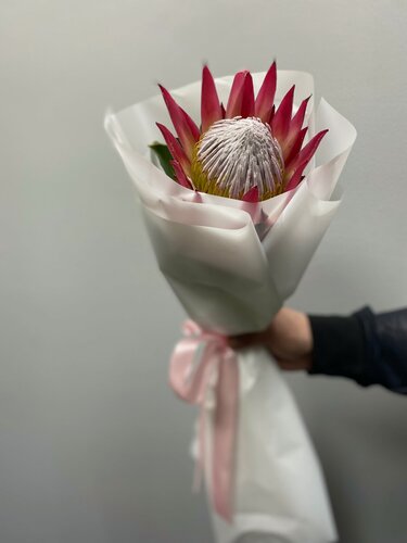 Изображение товара Букет живых цветов "Протея" NURA FLOWERS, 50 см, авторская сборка, на стеблях, 1 цветок