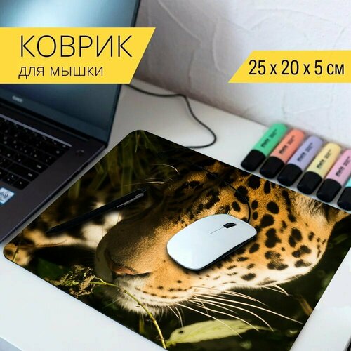 Коврик для мыши с принтом Ягуар, кошка, кошачий 25x20см. коврик для мыши с принтом ягуар кошка хищник 25x20см