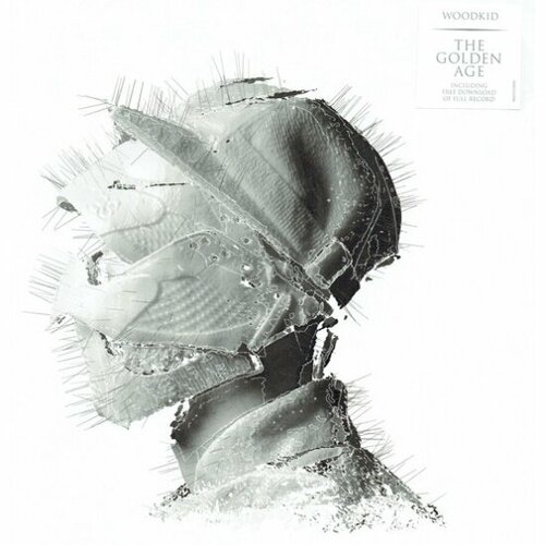 Виниловая пластинка UNIVERSAL MUSIC WOODKID - The Golden Age