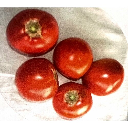 ЛИА, селекция Армения.