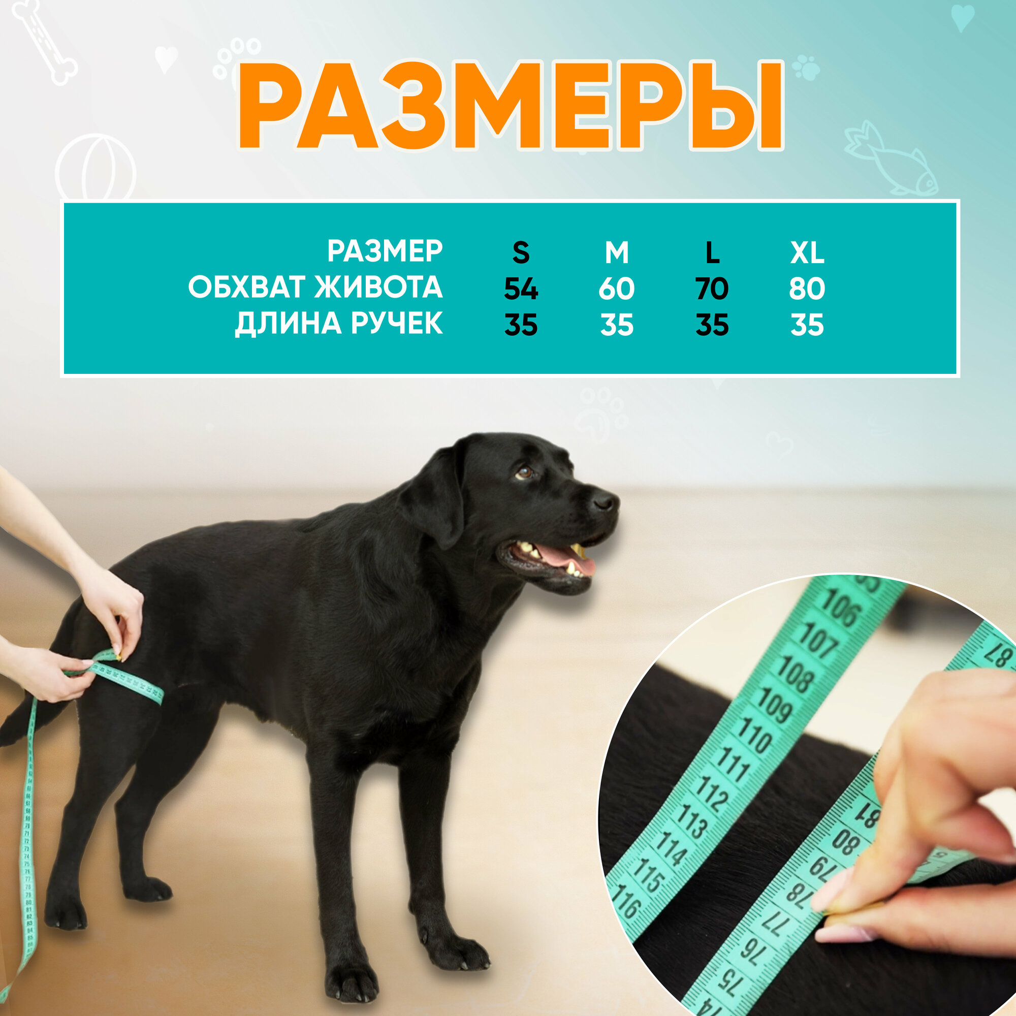 Задняя поддержка для собак, ходунки для собак, Mr Dog голубая, XL