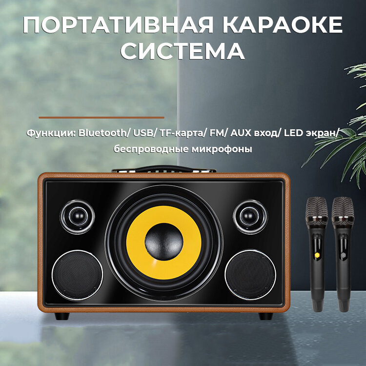 Караоке-система NOIR-Audio MAX-300 с двумя микрофонами и колонкой — фото 7