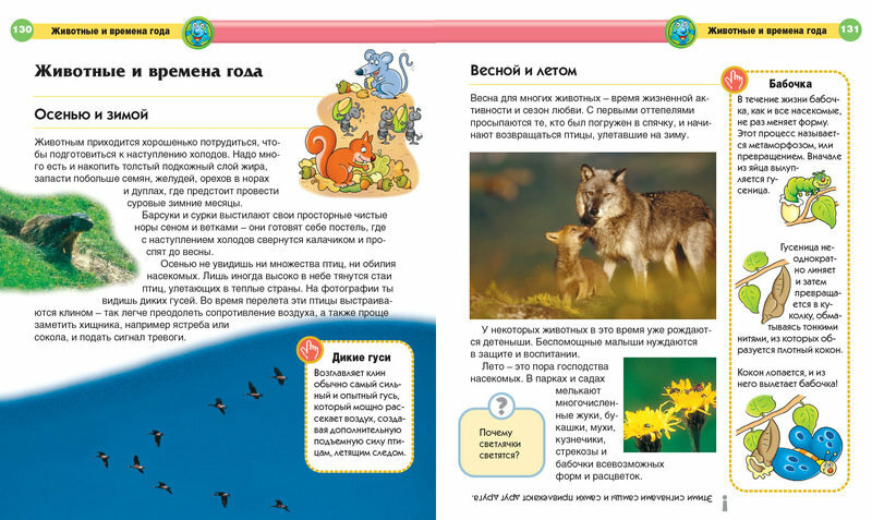 Современная детская энциклопедия - фото №3