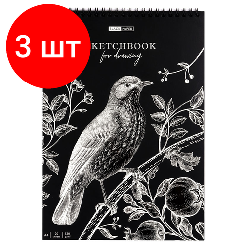 Комплект 3 шт, Скетчбук 20л, А4 ArtSpace Black line. Bird, на гребне, черный блок, 120г/м2 скетчбук умбрийская долина а4 20 листов