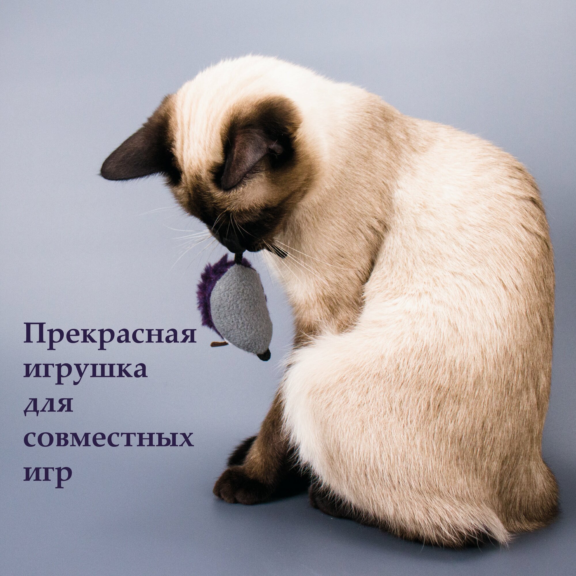 Мягкая игрушка-дразнилка "Мышь с кошачьей мятой" от бренда Зооэкспресс - фотография № 12