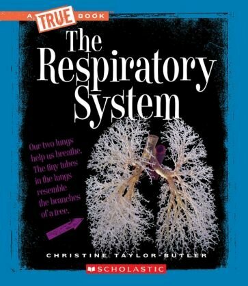 The Respiratory System (Taylor-Butler Christine) - фото №1