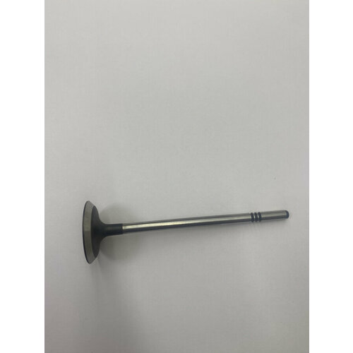 Клапан впускной 15L 5mm 1007011001-B11 Zotye T600 1250₽