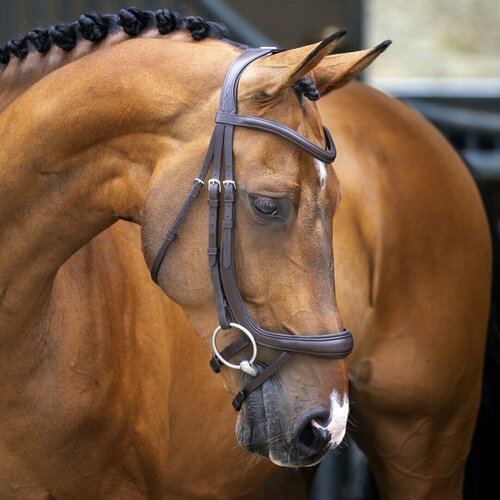 Оголовье для лошади SHIRES LUSSIO Ergonomic, COB, коричневый (Великобритания) оголовье для лошади shires lussio ergonomic full чёрный великобритания