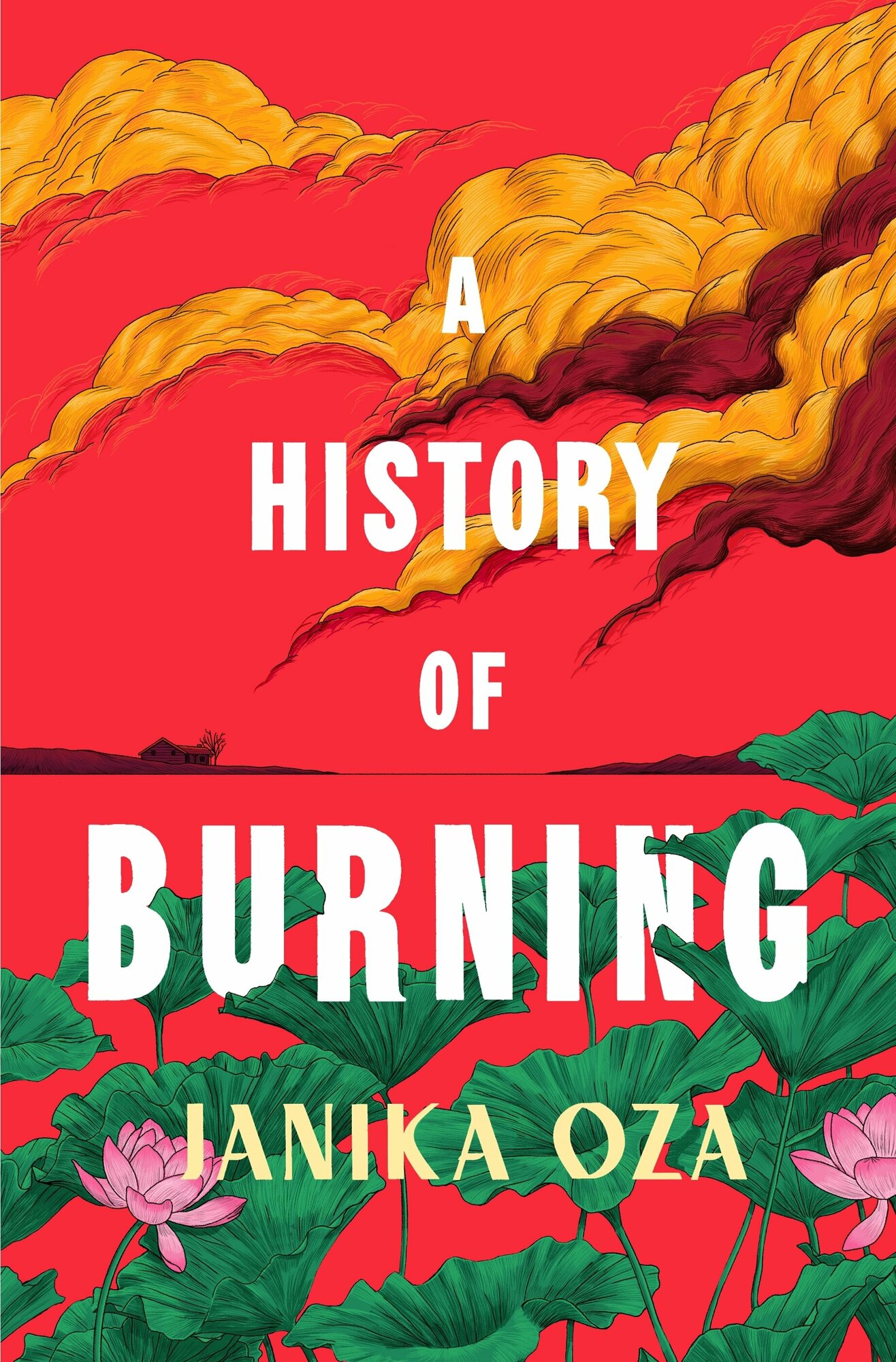 A History of Burning / Книга на Английском - фото №1