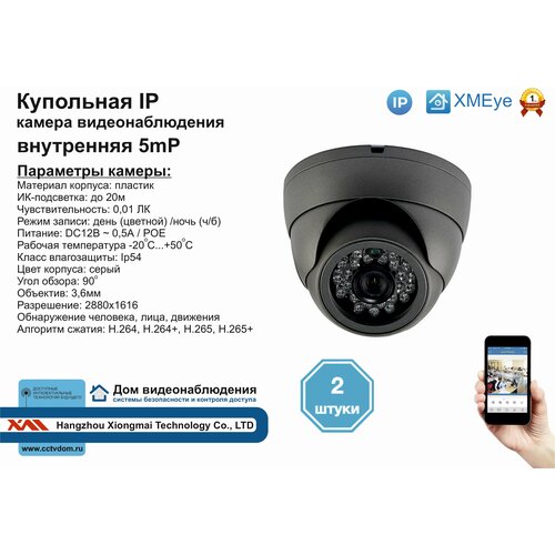 2шт DVS300IP5MP(POE) Внутренняя IP камера 5мП с ИК до 20м