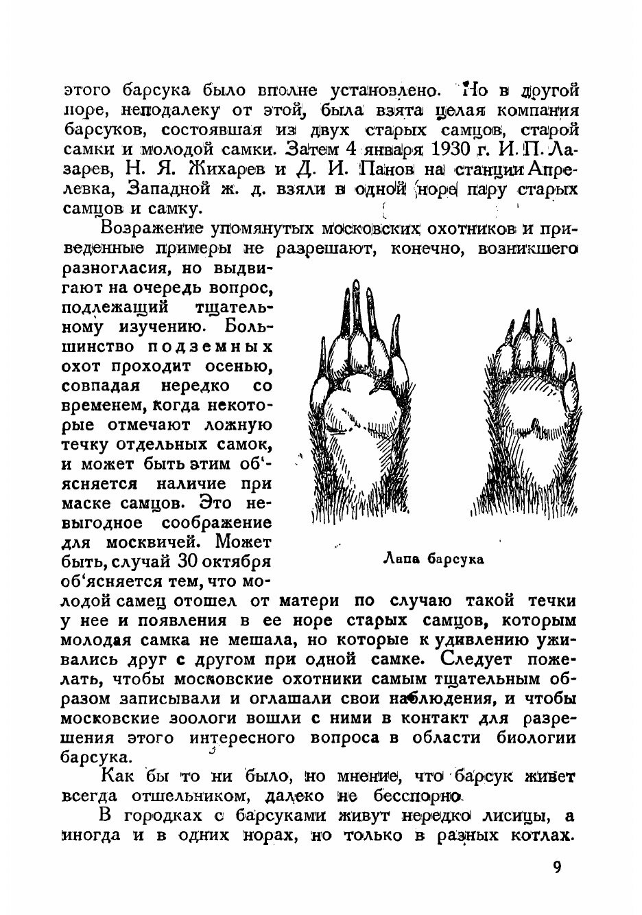 Книга Охота на барсука (Каверзнев Валерий Николаевич) - фото №7