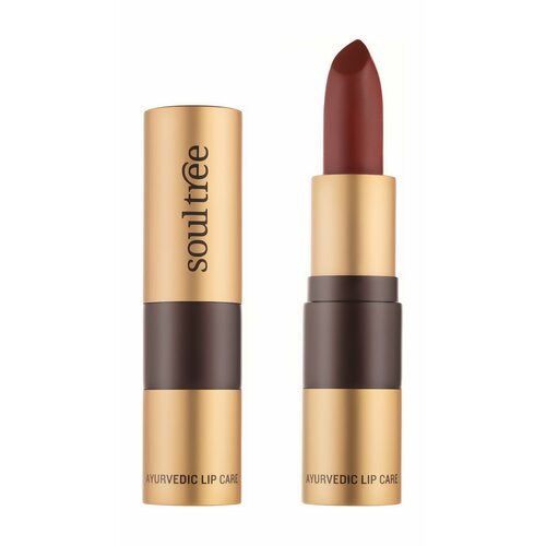 SOULTREE Ayurvedic Lipcare Помада для губ, 4 г, 777 Роскошный коричневый