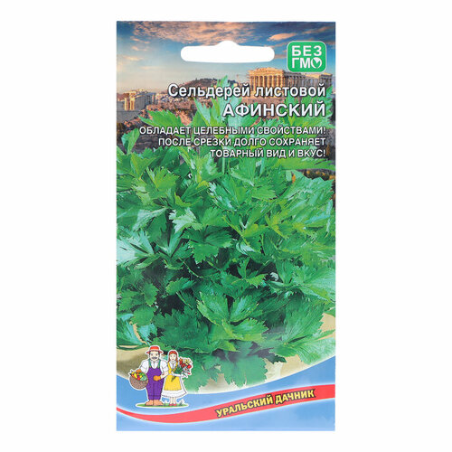 Семена Сельдерей Афинский, листовой, 0,25 г семена сельдерей листовой афина 0 5 г vita green