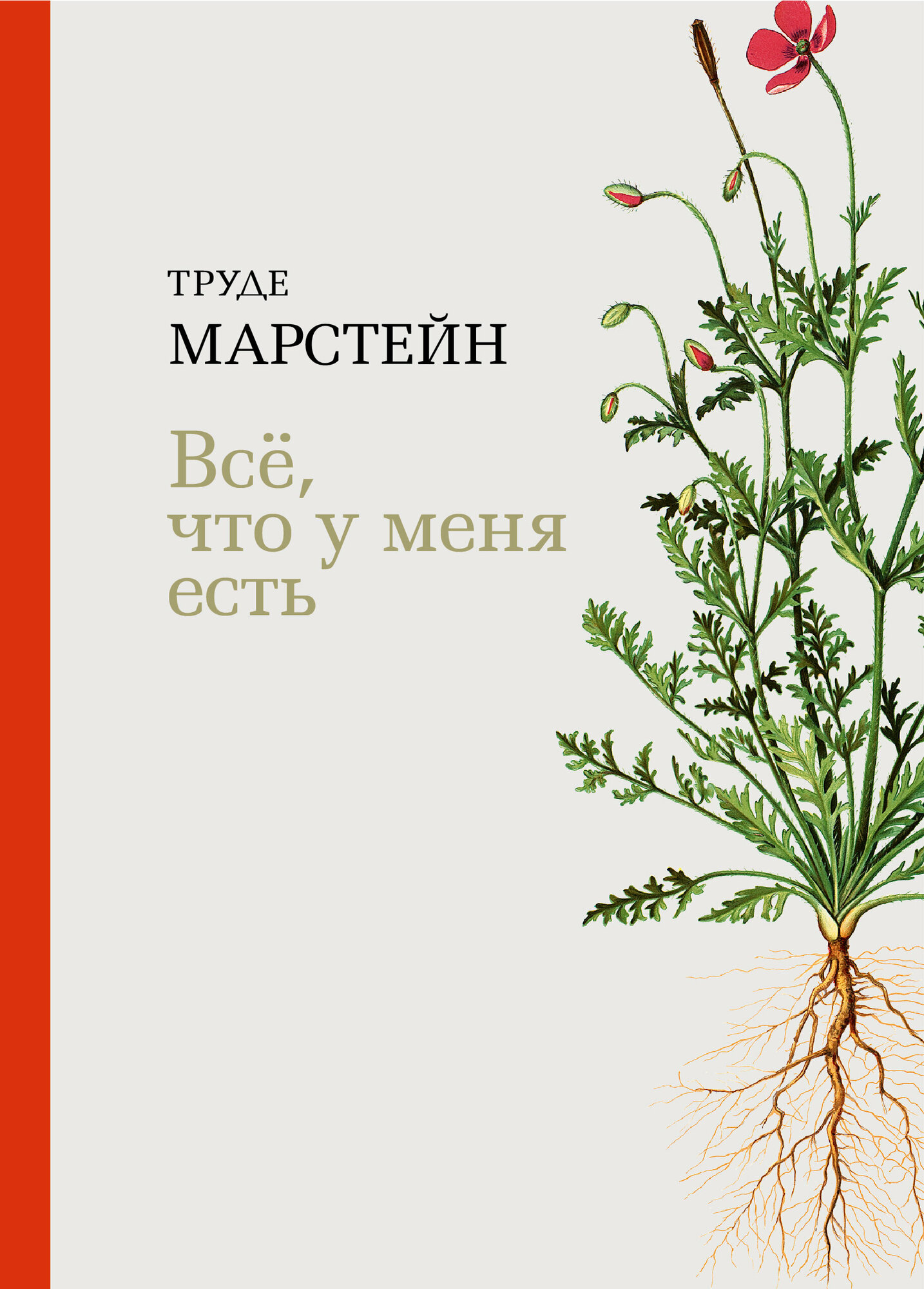 Всё, что у меня есть (Марстейн Т.) - фото №5