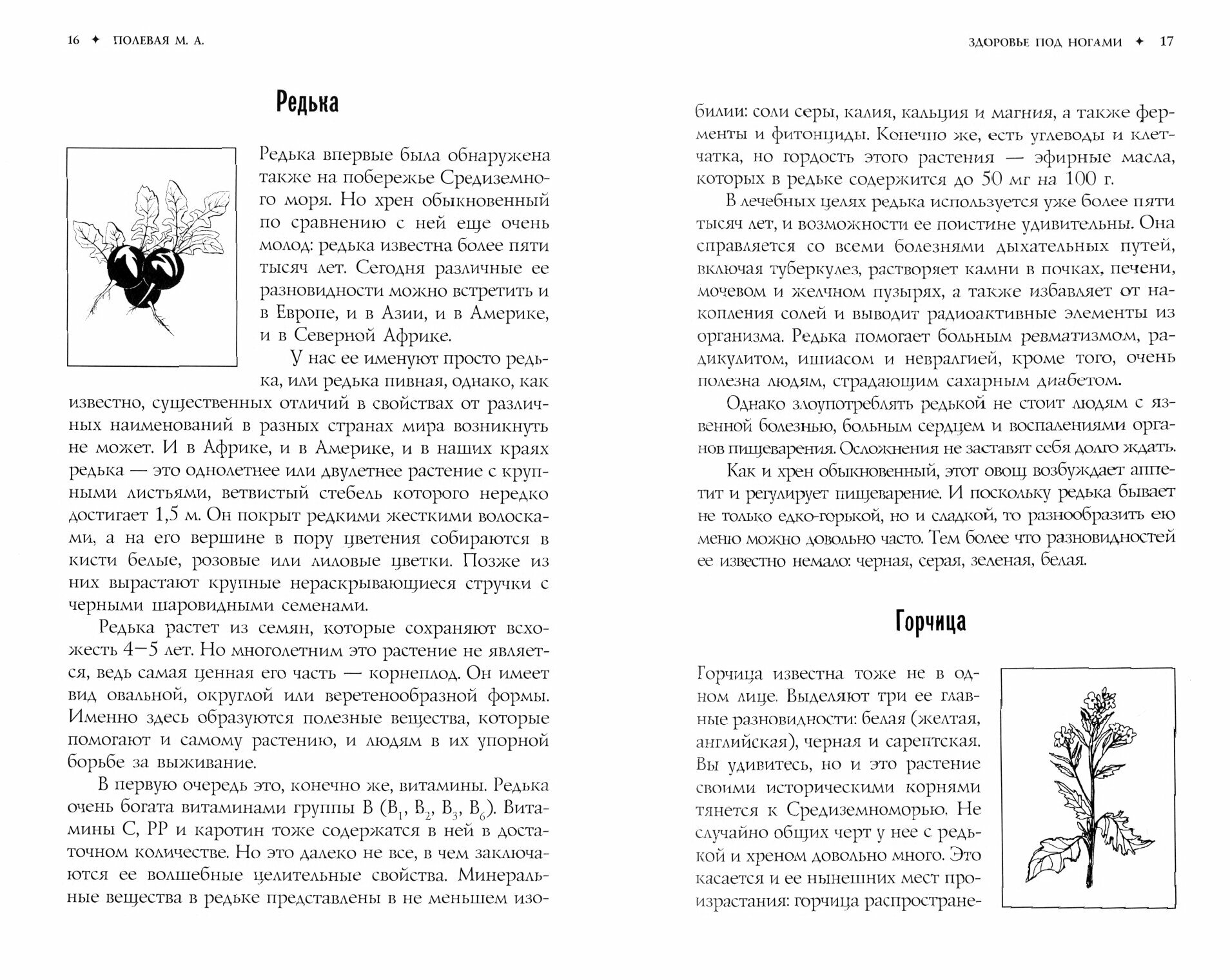 Редька, хрен и горчица от болезней помогут лечиться - фото №2