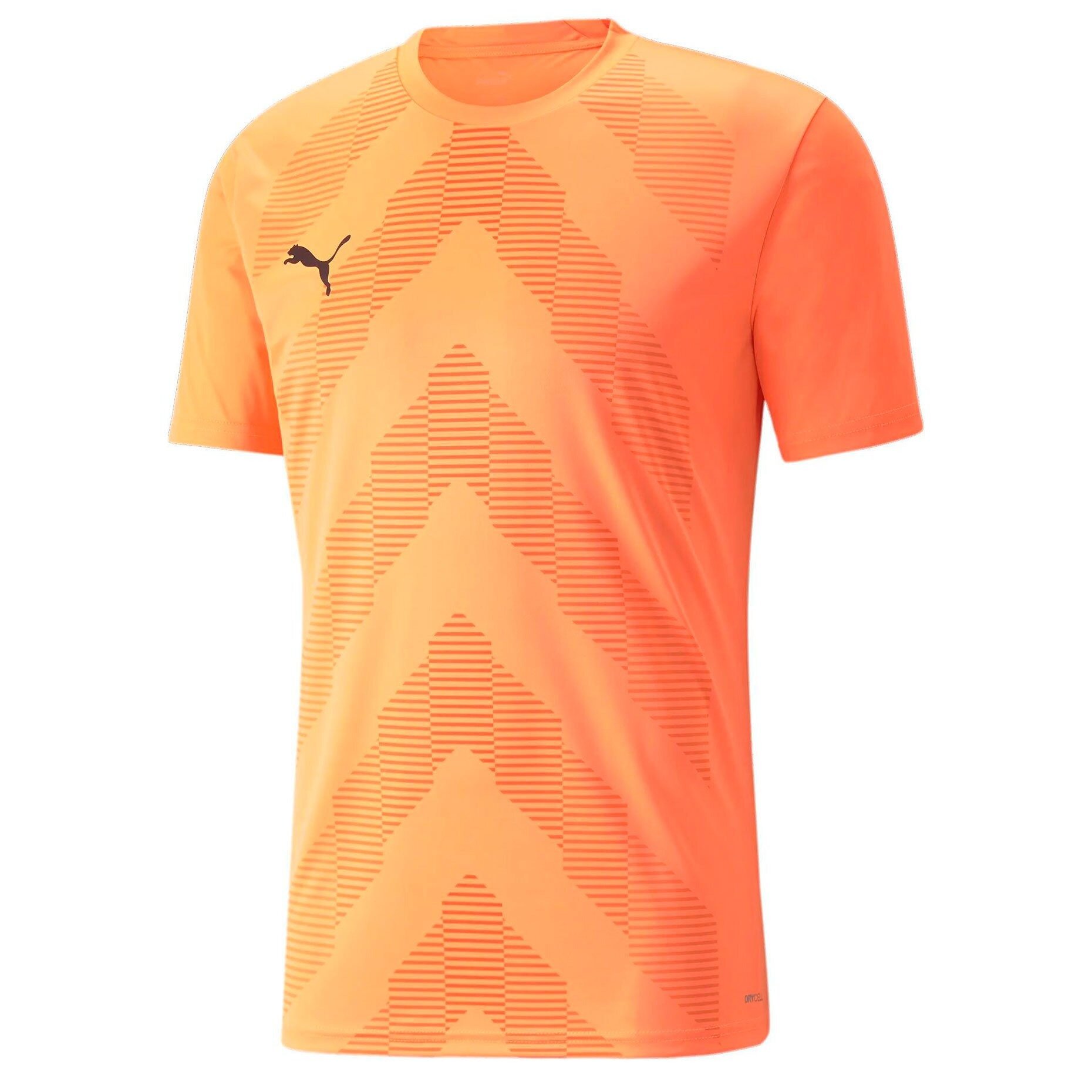 Футболка PUMA teamGLORY