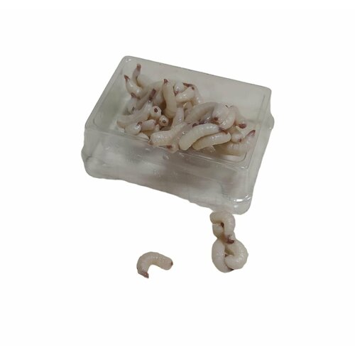 фото Искусственная сьедобная рыболовная насадка опарыш. растворяется в воде. упаковка 2 штуки suprun