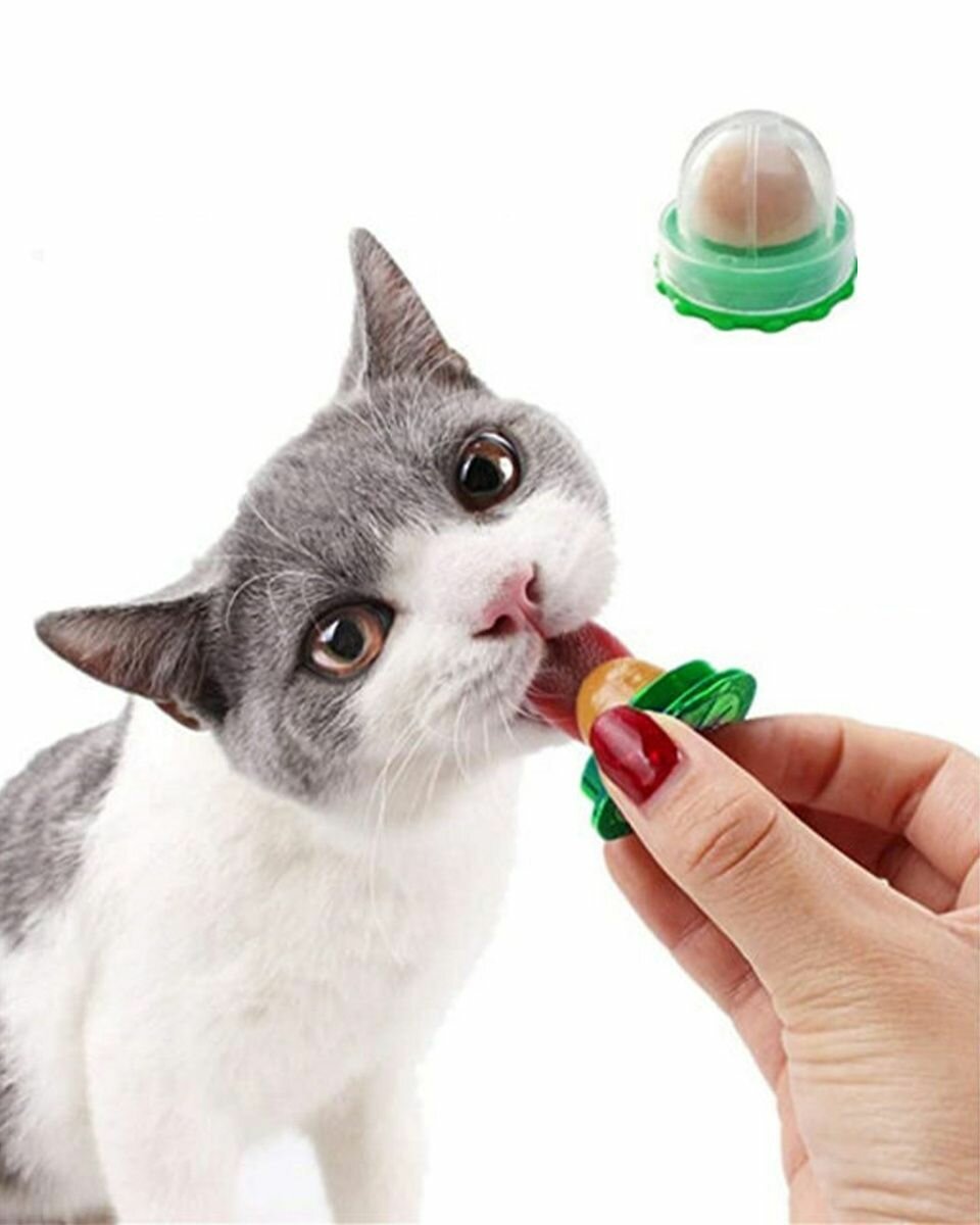 Лакомство для кошек CAT'S WAY 10 г, витаминный мясной лизун