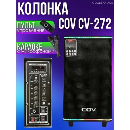 Портативная акустическая колонка CV-272 с мощным звуком, подключается по bluetooth, со встроенным караоке, FM-радио. Световые эффекты. Usb для компьютера. 2 микрофона идут в комплекте.