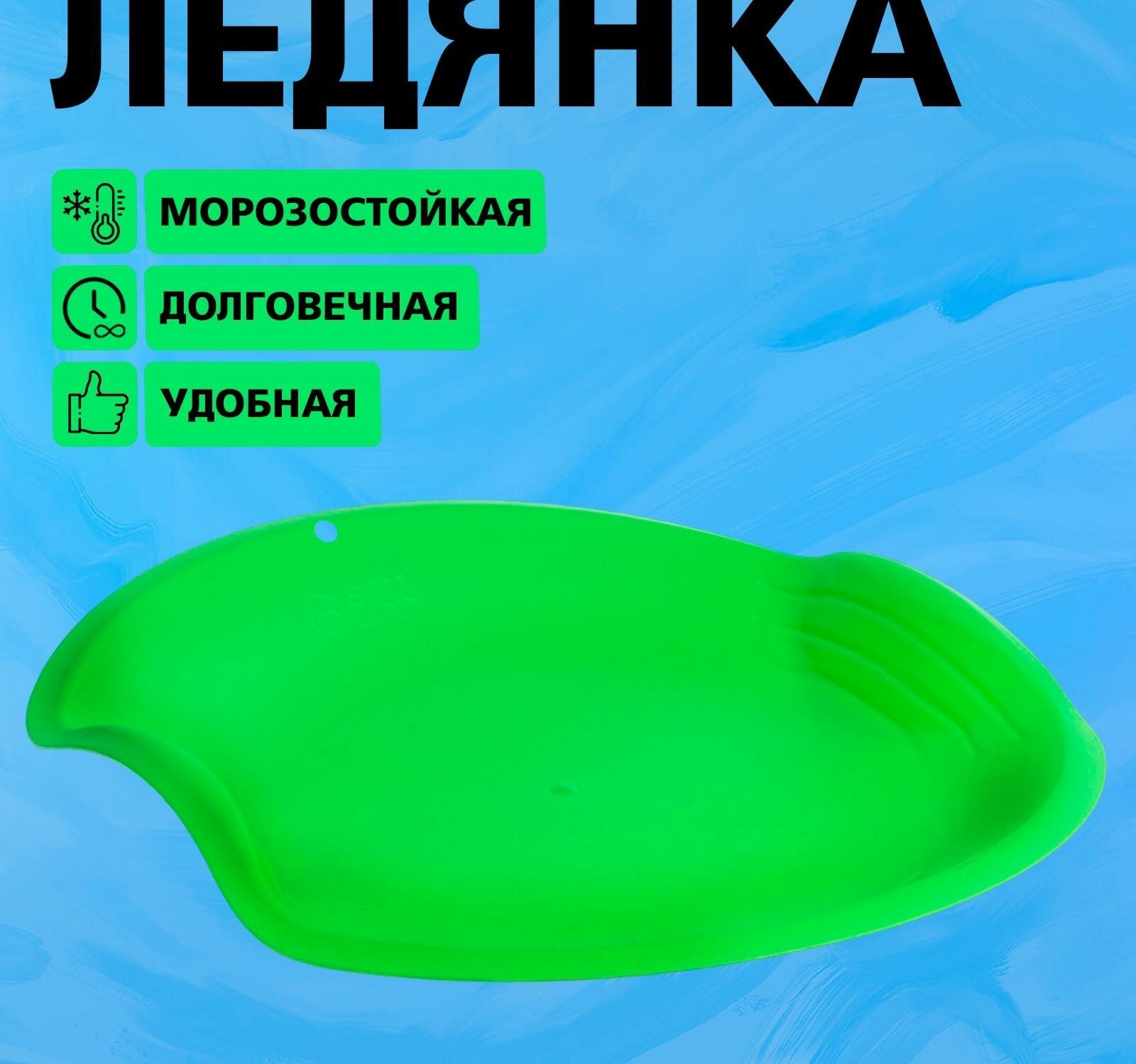 Ледянка круглая, цвет зелёный