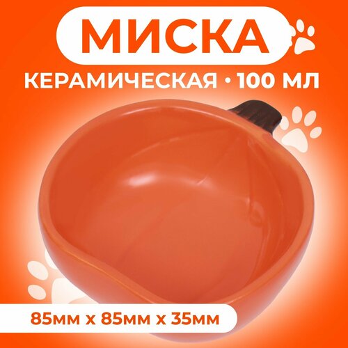 Миска керамическая для грызунов Тыква 10 х 10 х 4,3 см