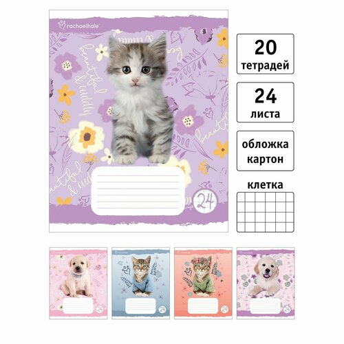 Тетрадь А5,24 листов, на скрепке, клетка, Rachael Hale, 20 шт, RH76/5