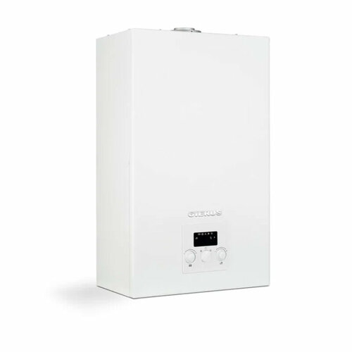 Котел газовый GIERUS ES 321 с битермическим теплообменником 73066₽