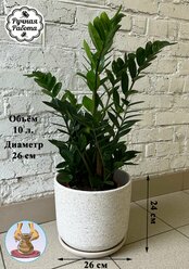 Большой напольный керамический горшок для растений - замиокулькас, фикус, пальма. 10 литров.