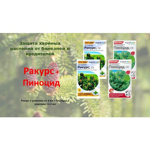 Ракурс + Пиноцид - набор средств от болезней и вредителей хвойных растений средство для защиты хвойных растений от вредителей пиноцид 2 мл