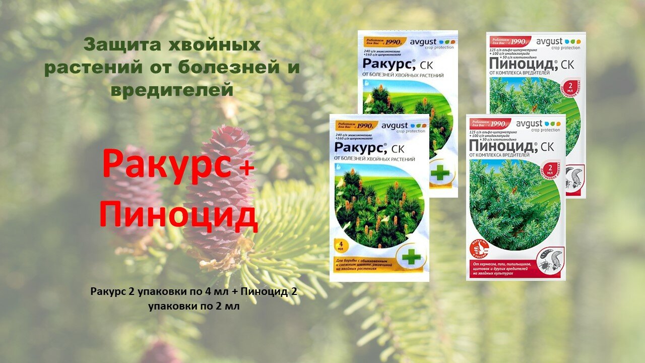 "Ракурс + Пиноцид" - набор средств от болезней и вредителей хвойных растений