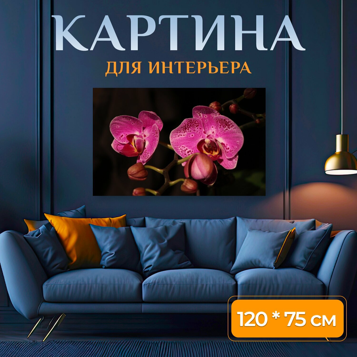 Картина на холсте "Фаленопсис, орхидея, красный цветок" на подрамнике 120х75 см. для интерьера