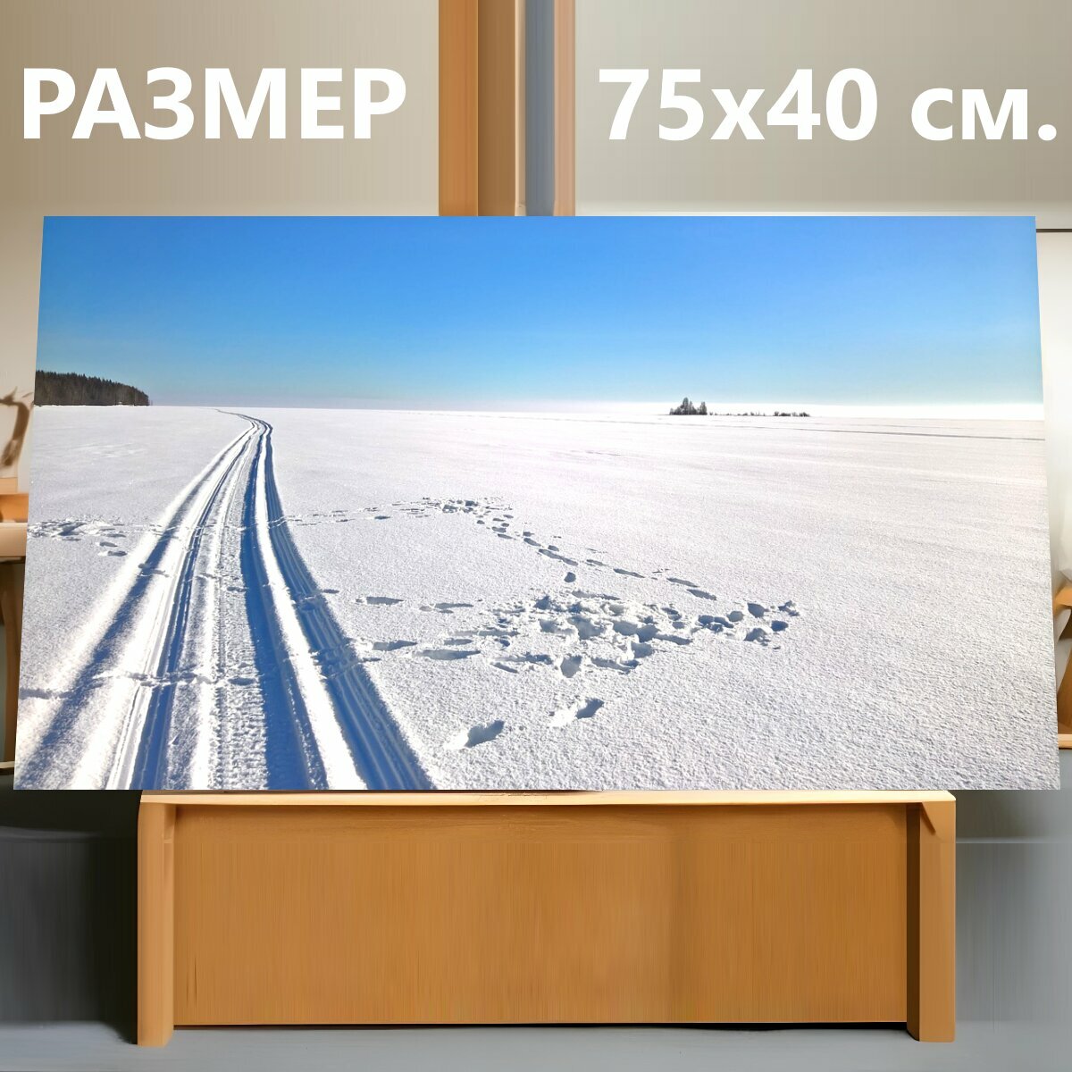 Картина на холсте "Лыжная трасса, горные лыжи, зима" на подрамнике 75х40 см. для интерьера