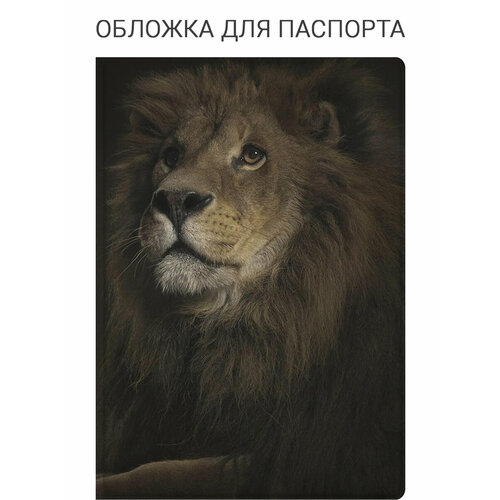фото Обложка для паспорта elole design, белый, бежевый