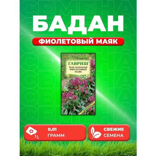 Бадан тихоокеанский Фиолетовый маяк, 0,01г, Гавриш семена бадан тихоокеанский фиолетовый маяк 0 01г гавриш лесной уголок 10 пакетиков