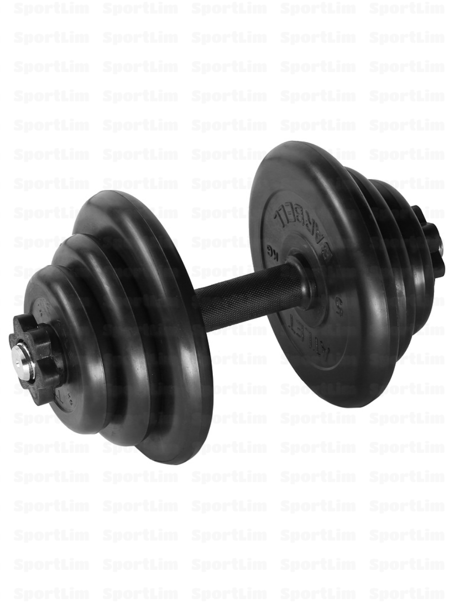 Гантель разборная 19 кг BARBELL MB-FdbM26-At19