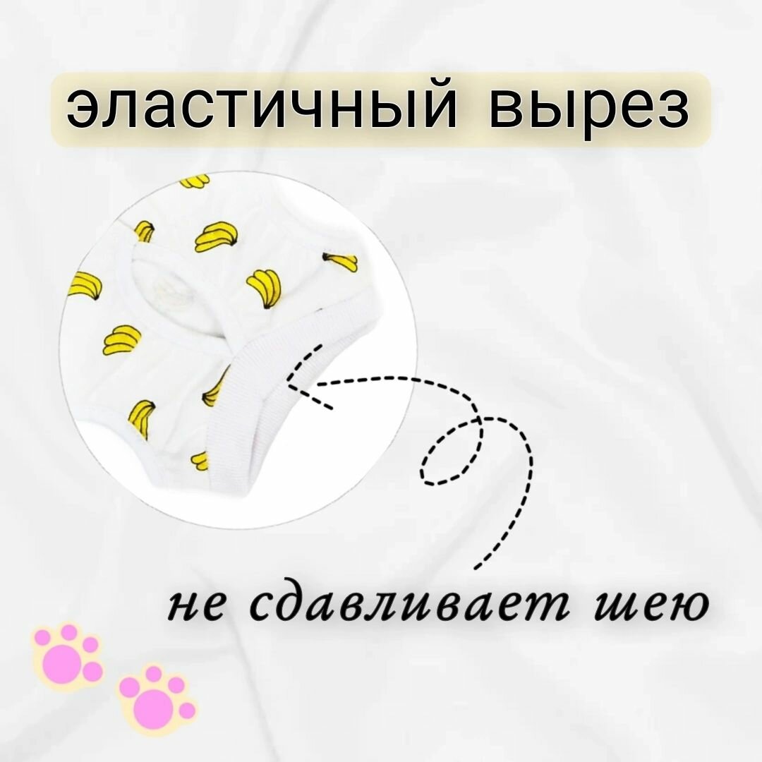 Попона послеоперационная для кошек и мелких собак на липучке — фото 1