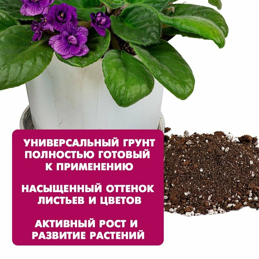 Изображение Универсальный грунт для комнатных растений 5 л