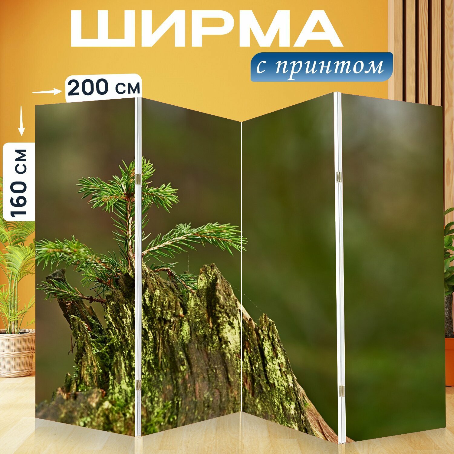 Ширма "Пень, ствол, растения" раскладная перегородка для зонирования с принтом на холсте