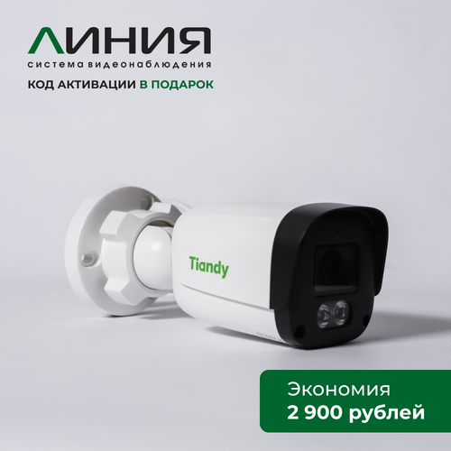 IP-камера Tiandy Spark TC-C32QN OEM Line с программным обеспечением Линия в комплекте 4000₽