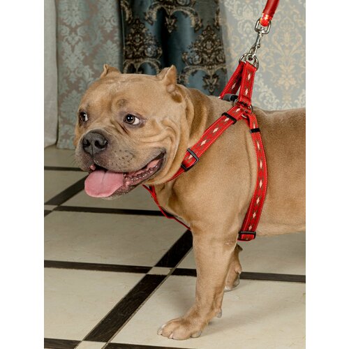 Шлейка для собак Japan Premium Pet светоотражающая, из прочного нейлона с функцией распределения нагрузки при рывке собаки, красный, размер M.