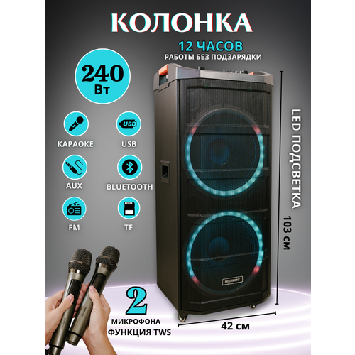 Акустическая система с функцией караоке HOLLEBERG HX-A215