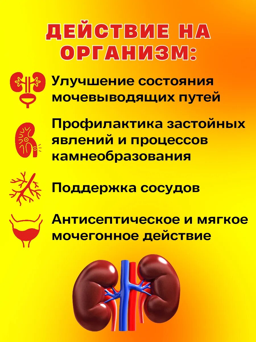 Изображение Фиторен Арт Лайф. Антисептический комплекс с мягким мочегонным эффектом. 90 таб.