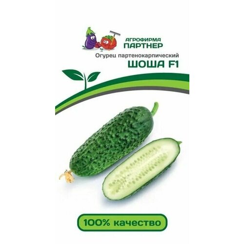 Огурец Шоша F1 самоопыляющийся семена Партнер (1 упаковка-5 шт семян) зеленый
